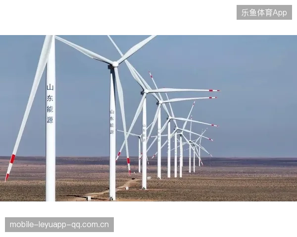 山东关注关键时刻执行力——把握机遇，决胜未来
